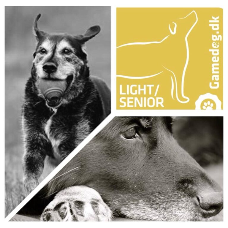 Gamedog Light-Senior
