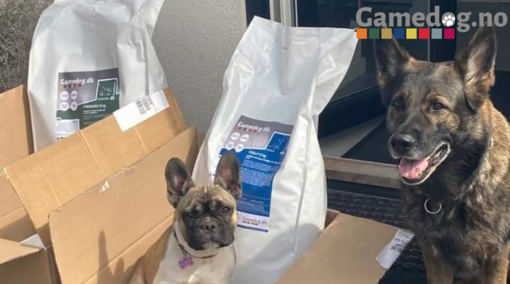 Den beste hundematen – Velg kortreist hundefôr for din hund